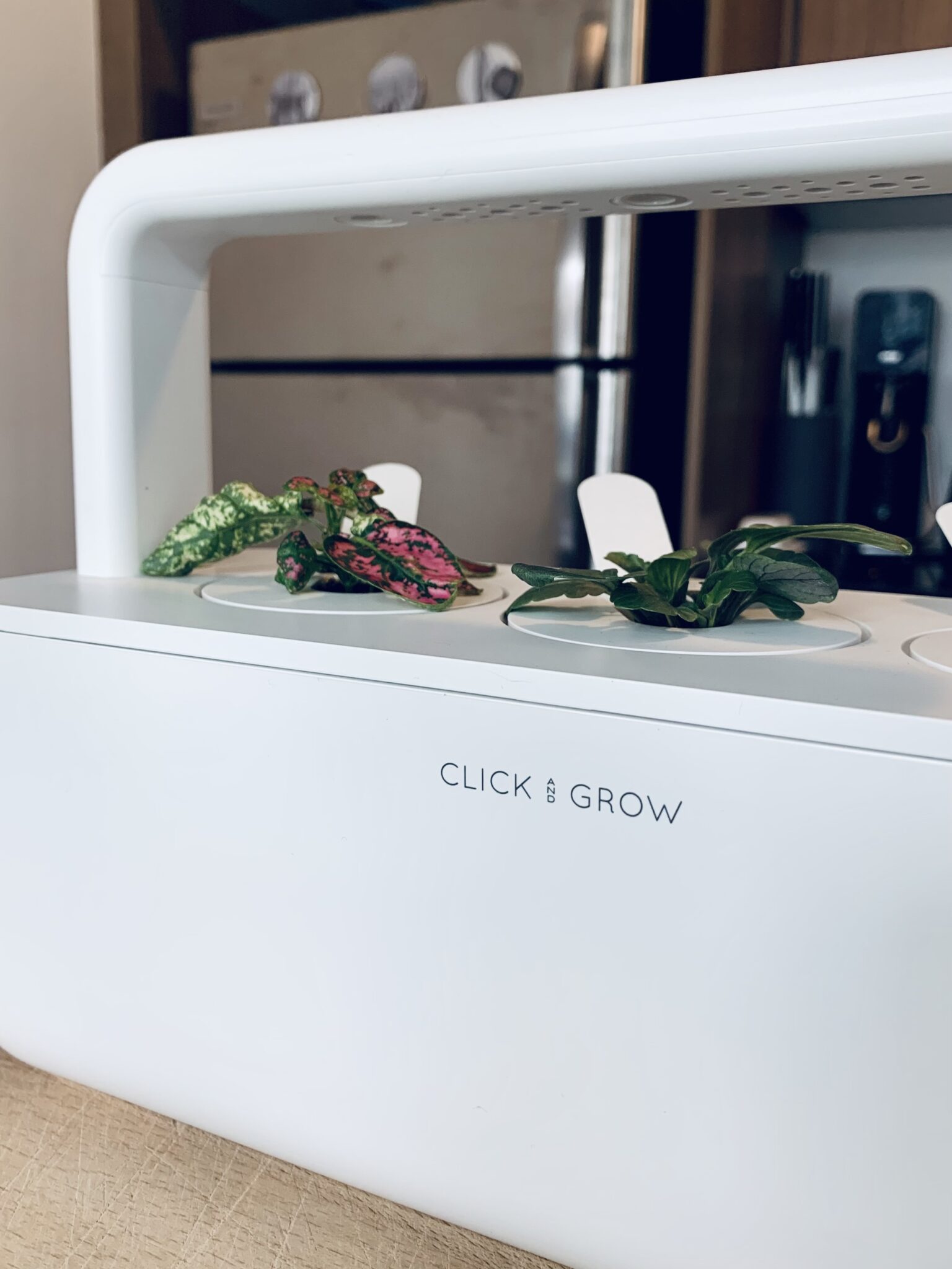 Giveaway Start the Perfect Indoor Garden with Click Grow ADDICTED